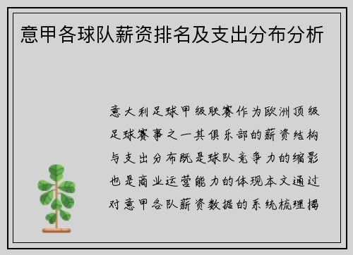 意甲各球队薪资排名及支出分布分析